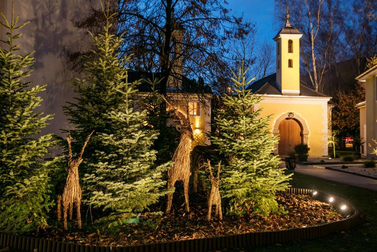 ARCOTEL Castellani Salzburg | Salzburg | 3